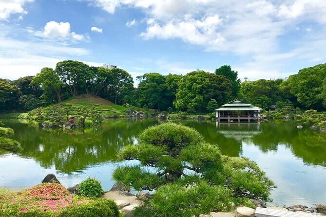 Tokyo Famous Spot Day Tour by Exclusive Car - Authentic Guest Feedback