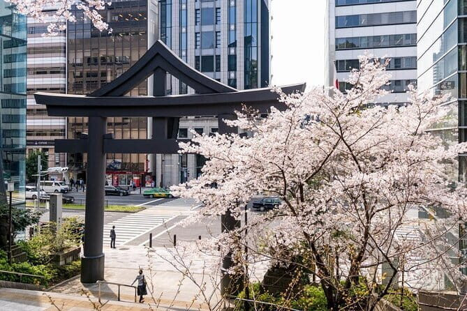 Tokyo Food Adventure: Street food, Teppanyaki cuisine, shrine etc - Who Is This Tour Best For?