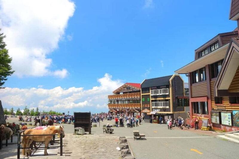 Tokyo: Fuji 5th St & Hakone Day Trip with Cable Car & Cruise - Key Points