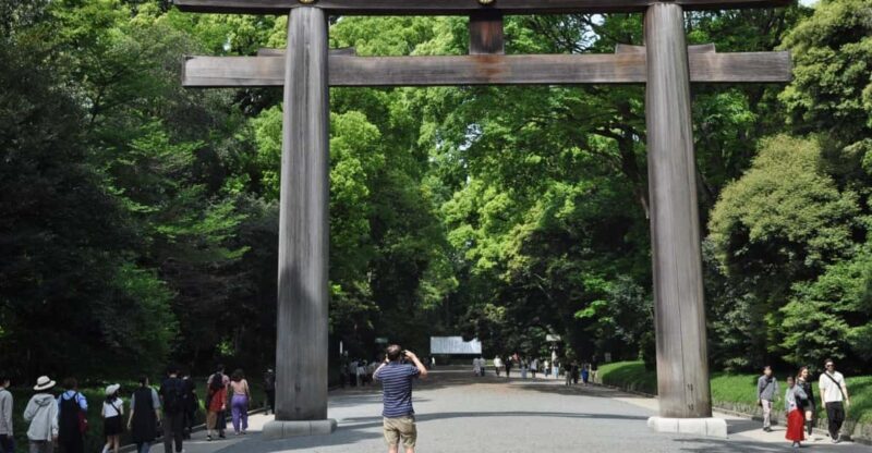 Tokyo & Fuji: Premium Car 2-Day Private Tour - Final Thoughts: Is This Tour Right for You?