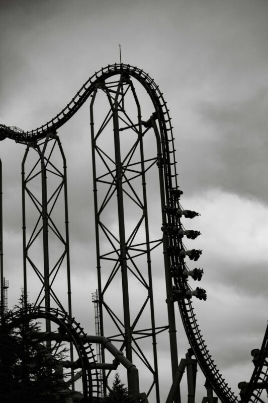 Tokyo Fuji-Q Highland Full-Day Private Customizable Tour - Service that helps the day run smoothly