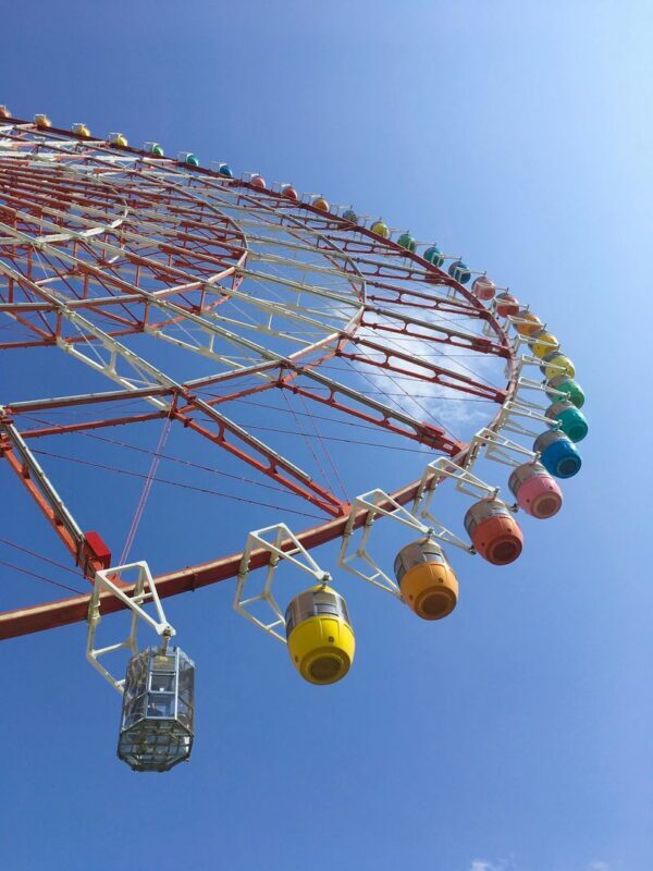 Tokyo Fuji-Q Highland Full-Day Private Customizable Tour - Who is likely to value this format