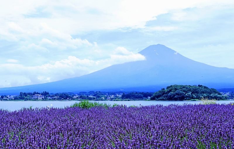 Tokyo Fuji Summer Fireworks and Peach Picking Tour - Gotemba shopping may be a separate version
