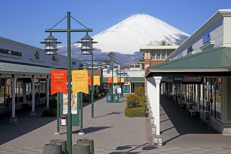 Tokyo Fuji Summer Fireworks and Peach Picking Tour - Who will enjoy this tour most?