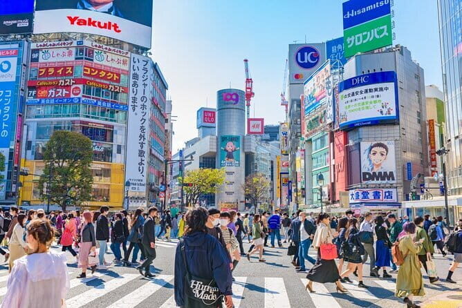 Tokyo Full Day Customize Private Tour with English Guide - A Deep Dive into the Tokyo Full Day Private Tour