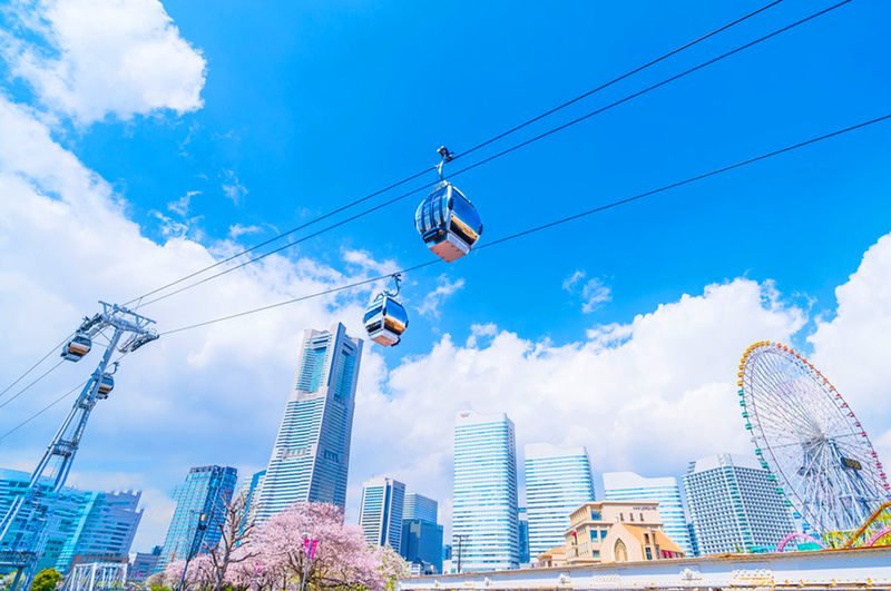 Tokyo Full-Day Enoshima, Kamakura & Yokohama Sightseeing Tour - Is $37.85 Good Value?
