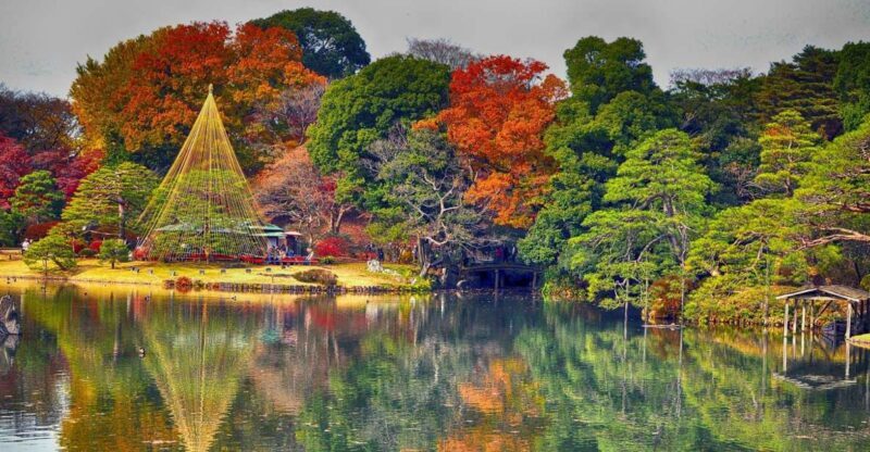 Tokyo: Full-Day Japanese Garden Private Guided Tour - A Deep Dive into Tokyo’s Garden Tour Experience
