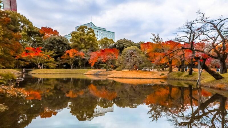 Tokyo: Full-Day Japanese Garden Private Guided Tour - Authentic Experiences and Genuine Reviews