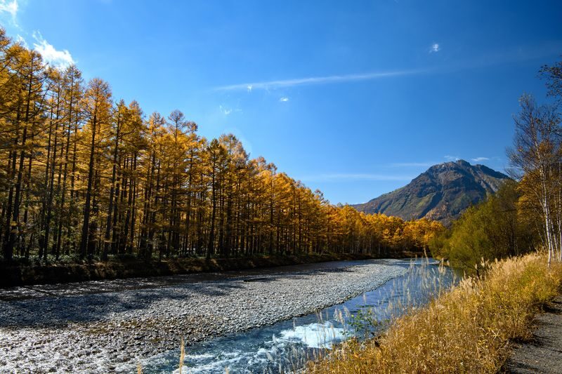 Tokyo Full-Day Kamikochi & Matsumoto Castle Discovery - What $81.99 buys, and what to check
