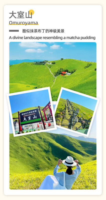 Tokyo Full-Day Mount Omuro, Izu Cactus Park & Jogasaki Coast Tour - The coastal train: scenic by name, variable by view