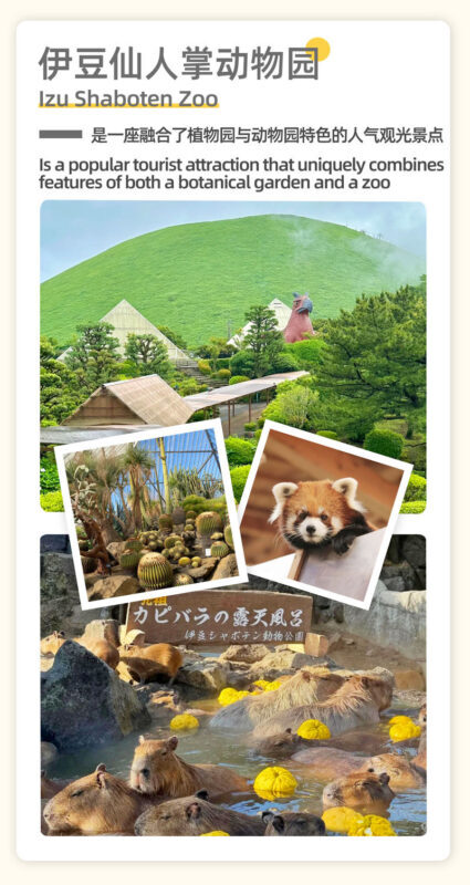 Tokyo Full-Day Mount Omuro, Izu Cactus Park & Jogasaki Coast Tour - Timing, weather and guide communication