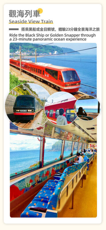 Tokyo Full-Day Mount Omuro, Izu Cactus Park & Jogasaki Coast Tour - Is the starting price good value?