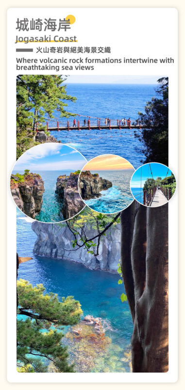 Tokyo Full-Day Mount Omuro, Izu Cactus Park & Jogasaki Coast Tour - Who should choose this Izu day trip?