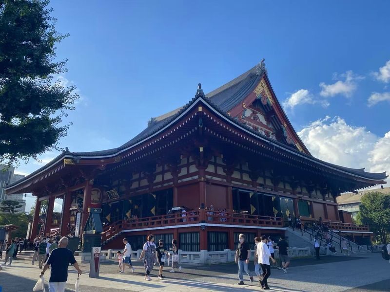 Tokyo Full-Day Private Car Tour with Customizable Itinerary - Should you book this Tokyo car tour?