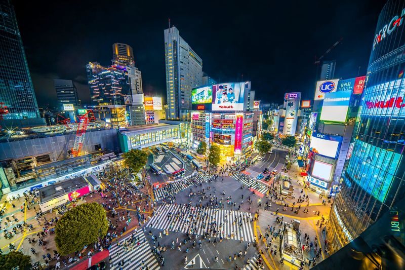 Tokyo Full-Day Private City Highlights Tour - A private way to cover Shibuya and Shinjuku