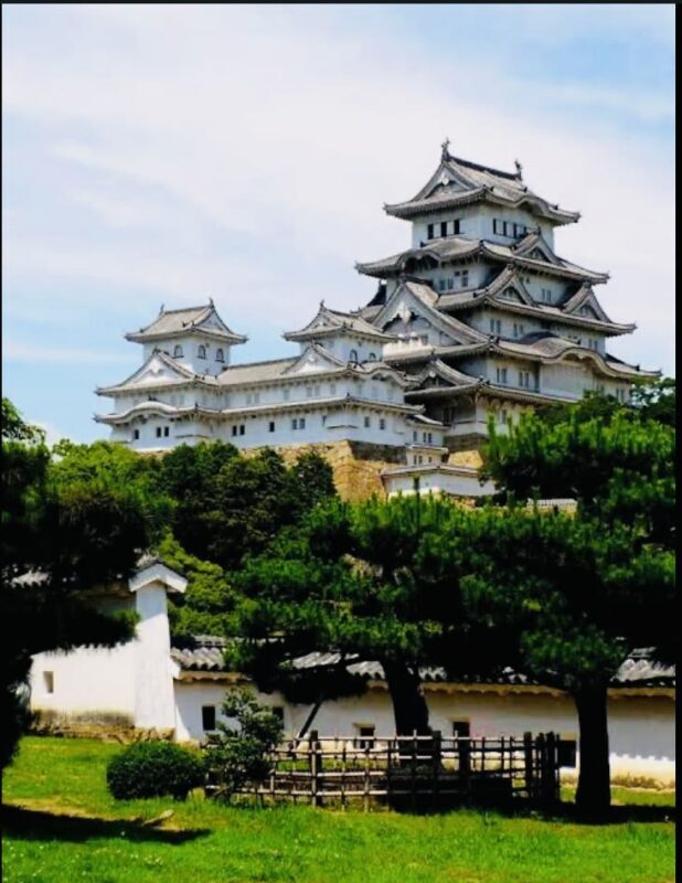 Tokyo Full-Day Private City Highlights Tour - A comfortable ride, with practical value