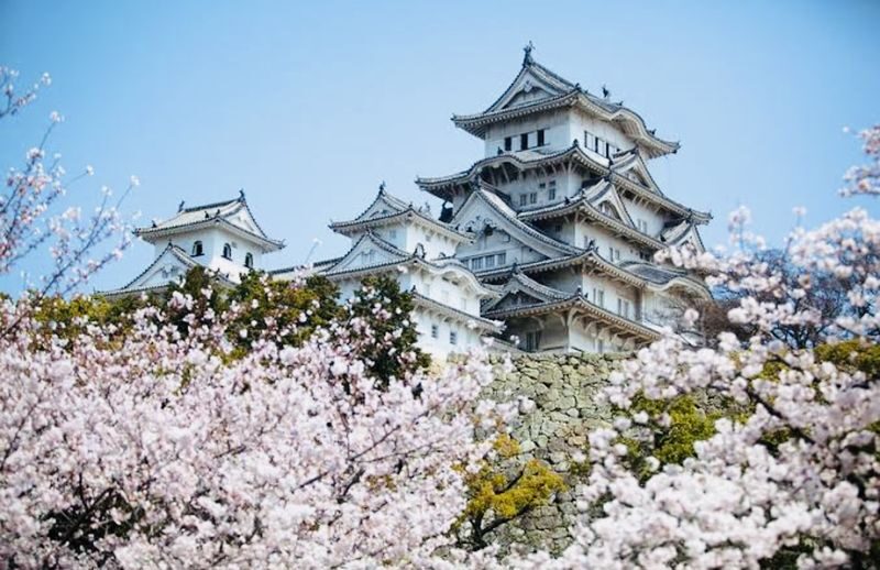 Tokyo Full-Day Private City Highlights Tour - Planning the day without a fixed stop list