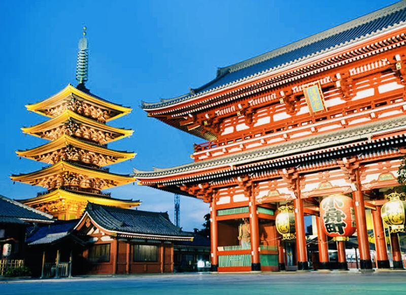 Tokyo Full-Day Private City Highlights Tour - Who is likely to get the most from it