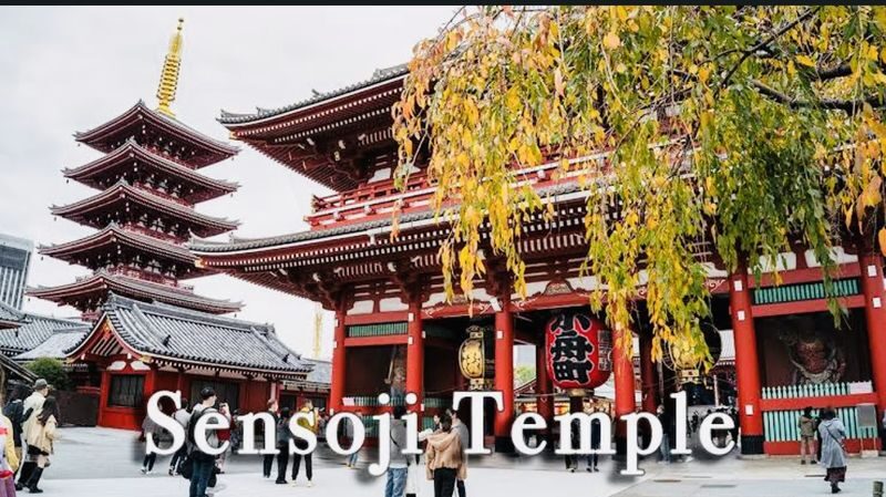 Tokyo Full-Day Private City Highlights Tour - Should you book this Tokyo tour?
