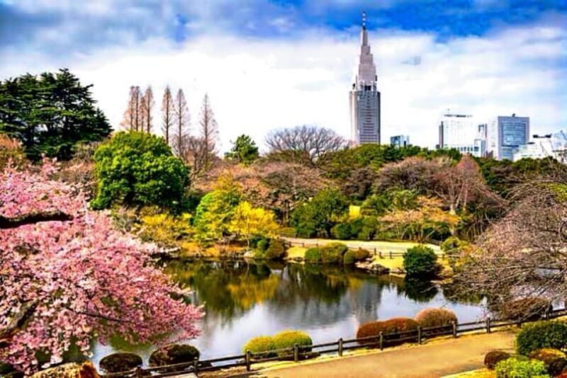 Tokyo Full-Day Private Customizable Tour With English Driver - Key Points