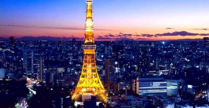 Tokyo Full-Day Private Customizable Tour With English Driver - Who Should Consider This Tour?