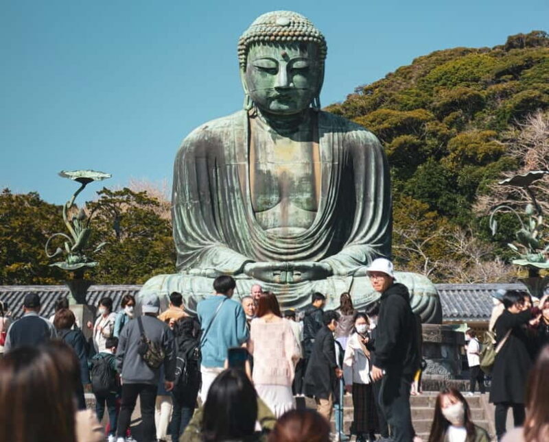 Tokyo: Full-day Private Kamakura and Enoshima Tour w/ Driver - Key Points
