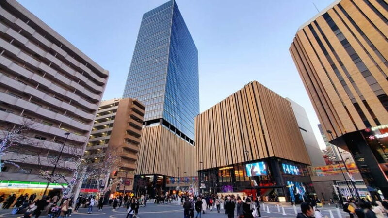 Tokyo Full-Day Private Tour (Customizable) - FAQ