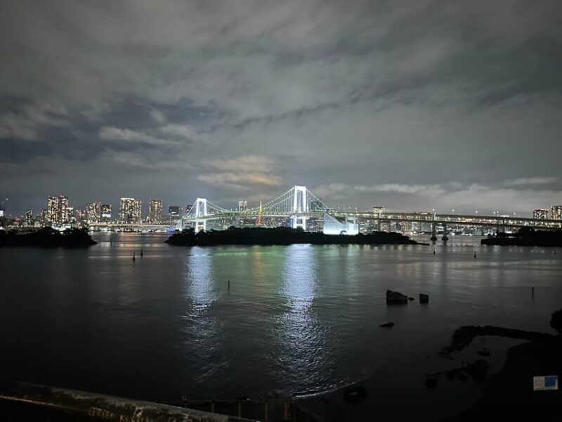 Tokyo full day private tour with Guide - Who Should Book This Tour?