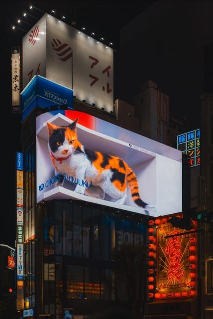 Tokyo full day Spanish speaking tour with hotel pick up and drop off. - An In-Depth Look at What You Can Expect