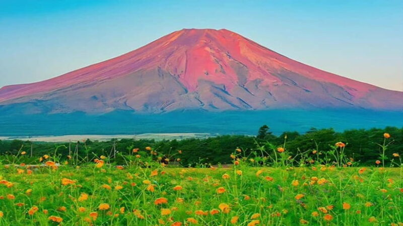 Tokyo: Full-Day Tour of the Six Majestic Spots of Mt Fuji - Key Points