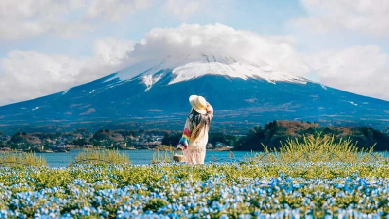 Tokyo: Full-Day Tour of the Six Majestic Spots of Mt Fuji - Discovering Mount Fuji: An Honest Look at the Full-Day Tour