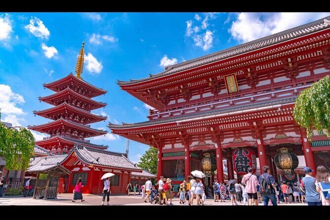 Tokyo full day tour with English speaking driver - A Practical Guide to Your Tokyo Day with a Private Driver