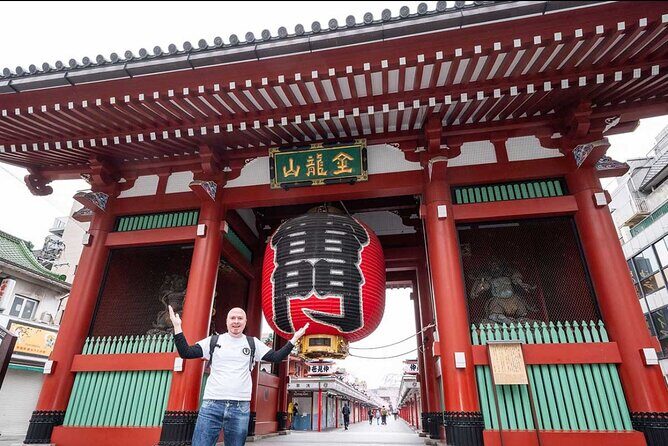 Tokyo full day tour with English speaking driver - Summary of the Experience