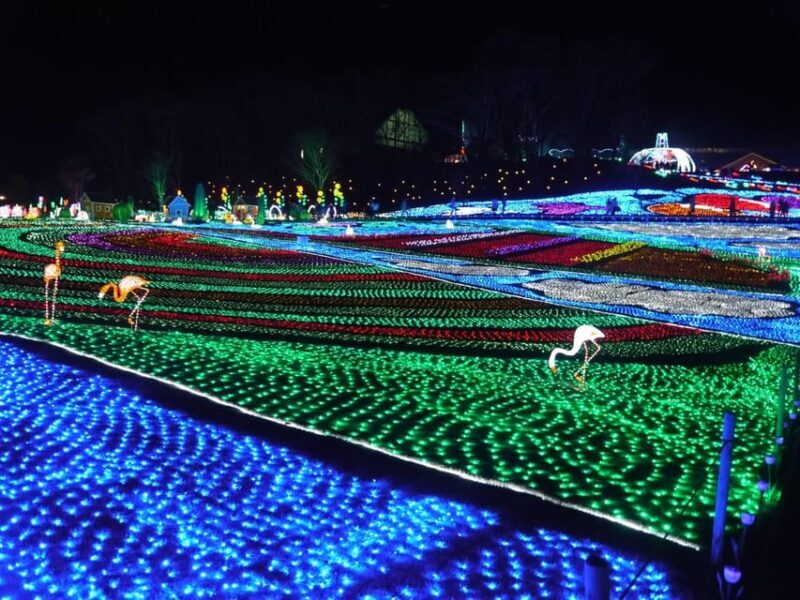 Tokyo: German Village Lighting and Farm Experience - Exploring the Tour in Detail