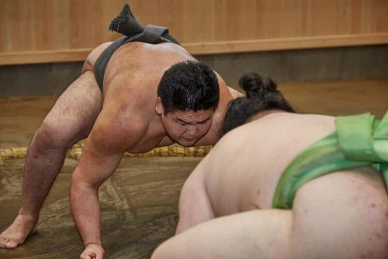 Tokyo Ginza : Sumo and Mikoshi Experience,Open from Sep. - A Complete Look at the Tokyo Ginza Sumo and Mikoshi Experience