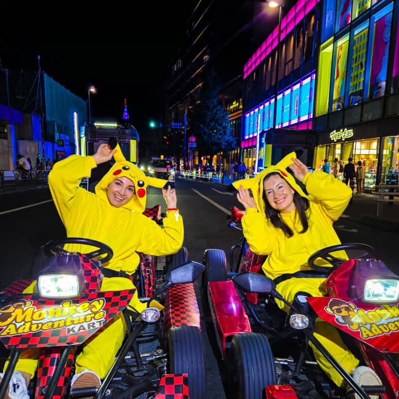 Tokyo Go-Kart Adventure: Shinjuku, Shibuya Crossing & Harajuku - The driving-permit check is essential