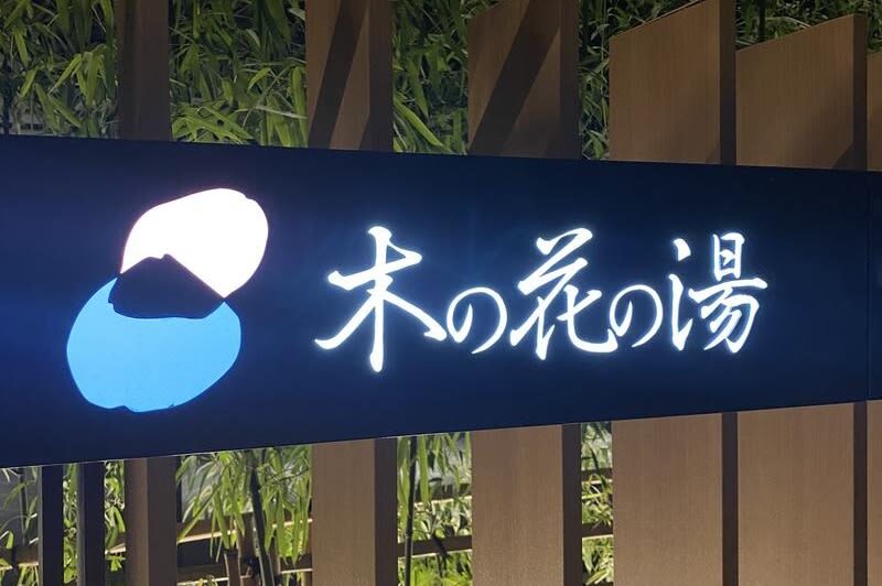 Tokyo Gotemba Premium Outlets and Mount Fuji Hot Spring Private Day Tour - The ride from Tokyo is part of the day