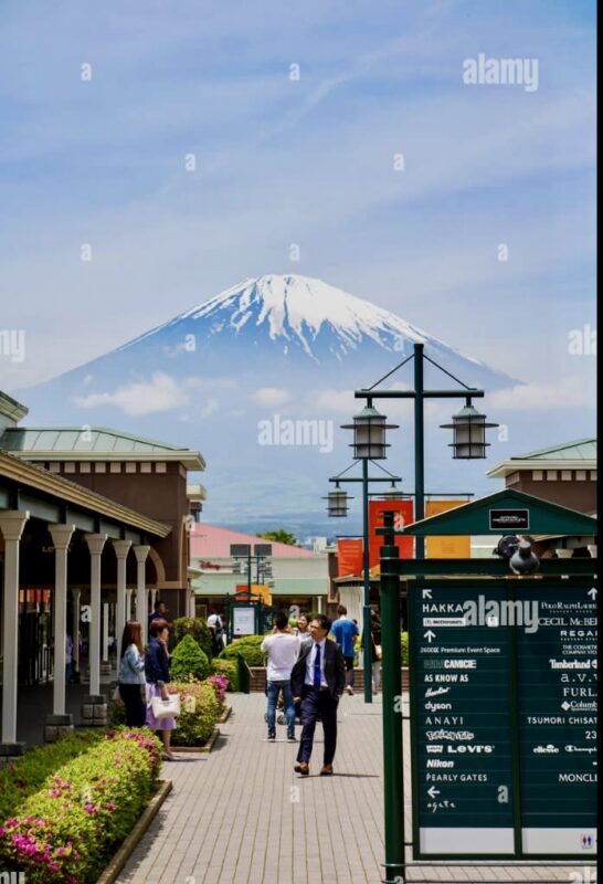 Tokyo Gotemba Premium Outlets Private Full-Day Tour - What the private format is worth