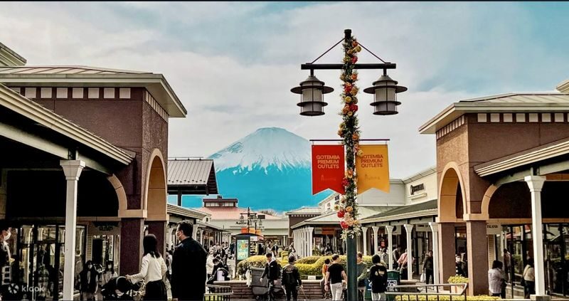 Tokyo Gotemba Premium Outlets Private Full-Day Tour - Drivers who make the day easier