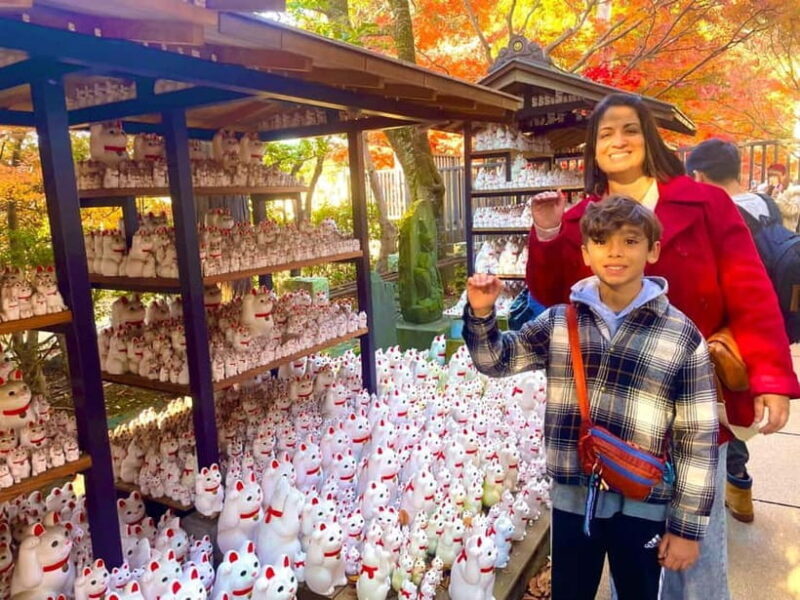 Tokyo: Gotokuji Cat Temple, Shinjuku Cat Cafe & 3D Cat Tour - Why This Tour Is a Great Value
