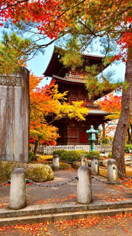 Tokyo Gotokuji Lucky Cat Temple Half-Day Walking Tour - Is $27.80 good value?