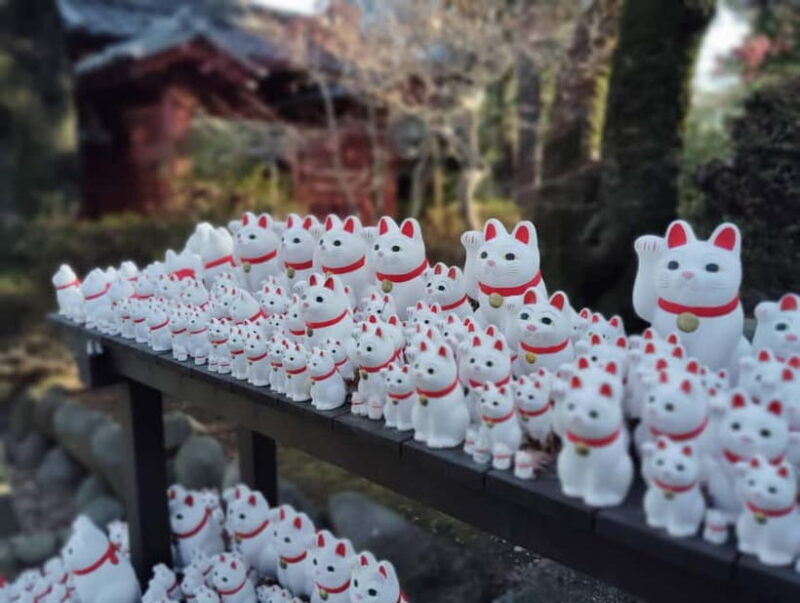 Tokyo: Gotokuji Temple Guided Tour with Manekineko Statues - Final Thoughts