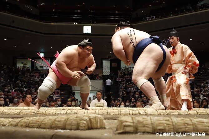 Tokyo Grand Sumo Tournament Viewing Tour - Who Would Love This Tour?
