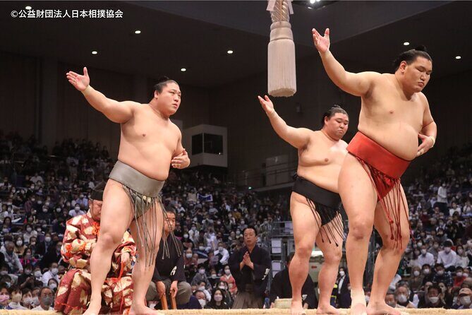 Tokyo Grand Sumo Tournament Viewing Tour - Final Thoughts