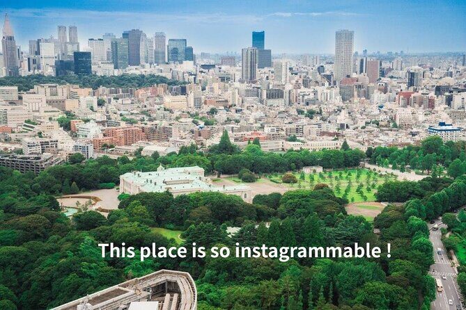 Tokyo Guest House and Imperial Residence Aerial View Experience - Key Points