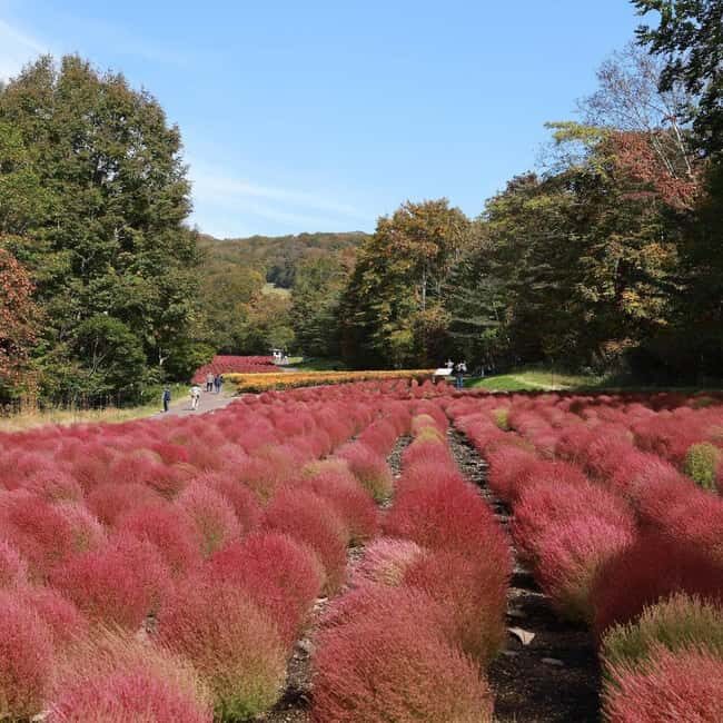 Tokyo: Gunma Scenic Day Trip with Fruit Picking, Crab Lunch - A detailed look at what makes this trip special