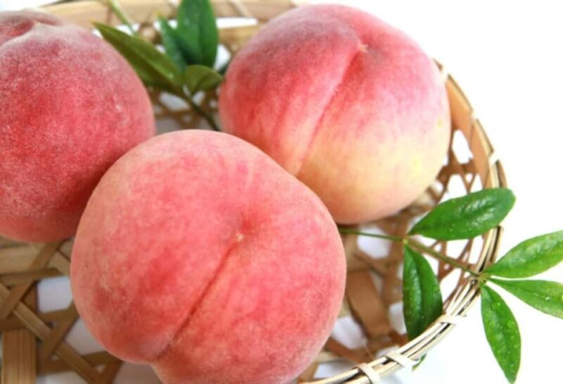 Tokyo: Gunma Scenic Day Trip with Fruit Picking, Crab Lunch - Final thoughts: Is this tour worth it?