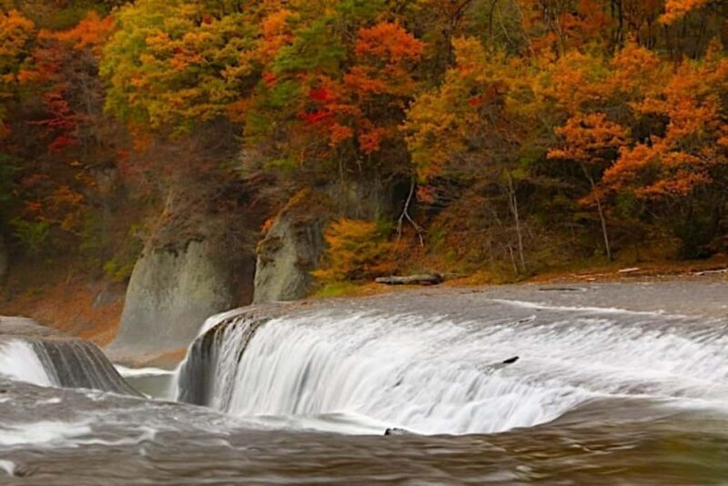 Tokyo: Gunma Scenic Day Trip with Fruit Picking, Crab Lunch - Frequently Asked Questions