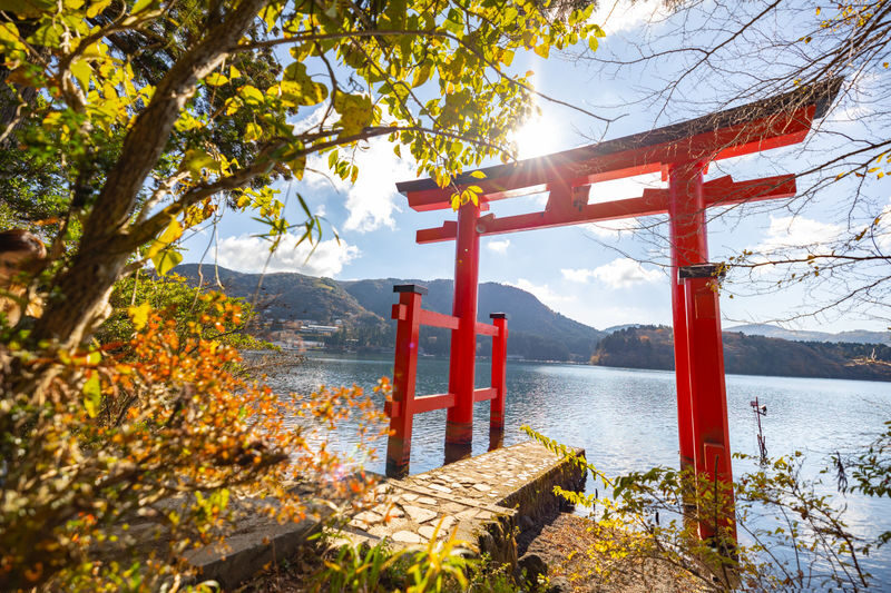 Tokyo Hakone Full-Day Private Customizable Tour - Who is likely to appreciate this tour