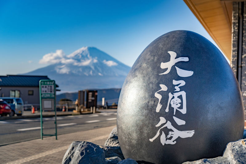 Tokyo Hakone Full-Day Private Customizable Tour - Before you book